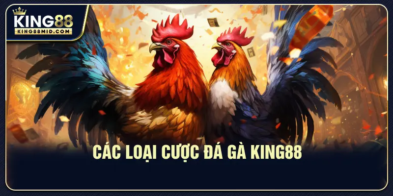 Các loại cược đá gà King88