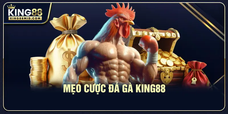 Mẹo cược đá gà King88
